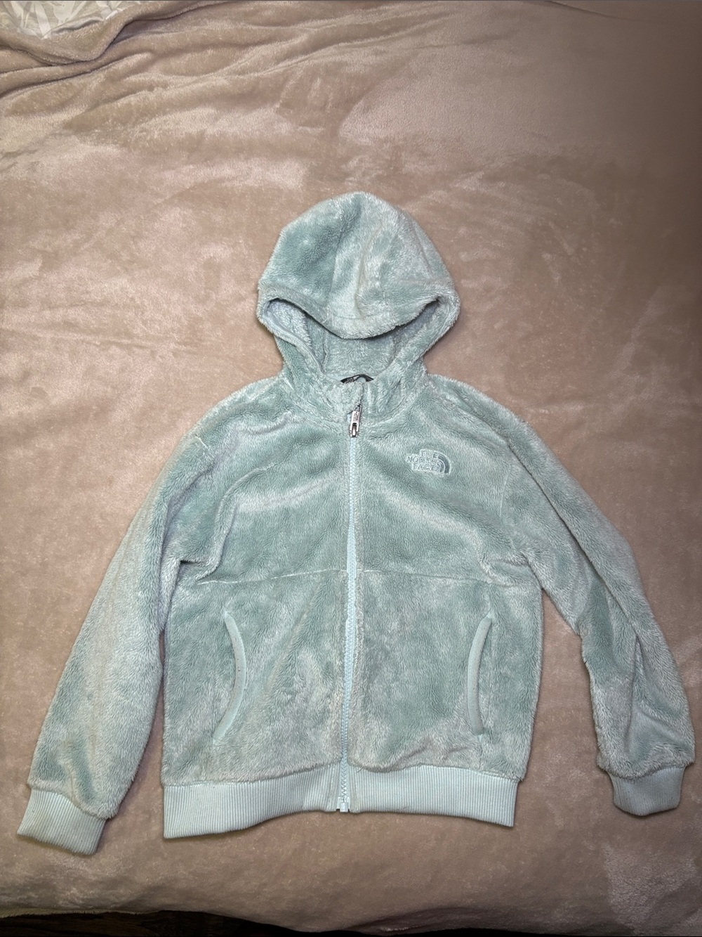 The North Face Plush Light Sage Green Fleece Jacket